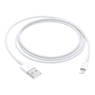 Apple Lightning to USB Cable (1m)