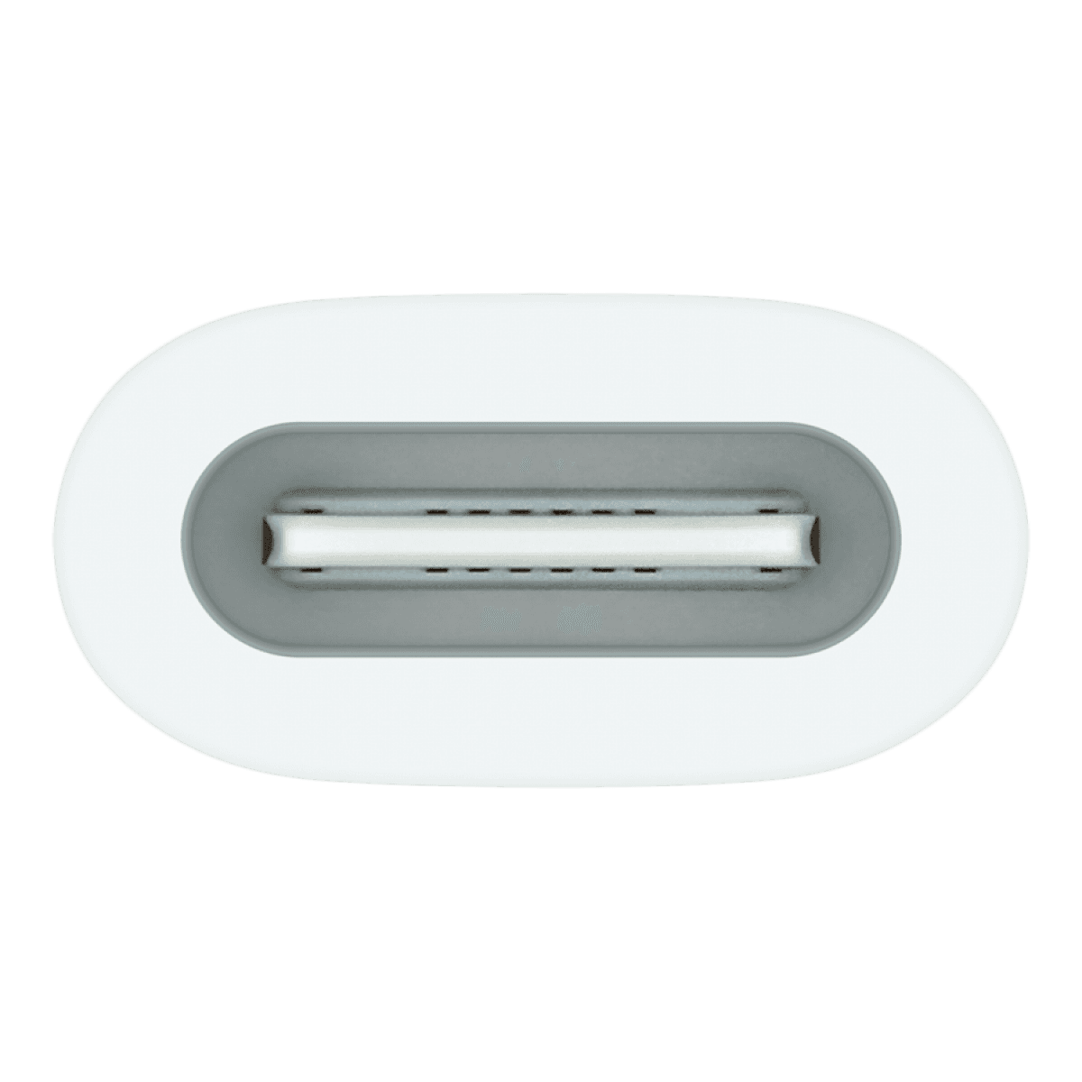 Apple USB-C to Apple Pencil Adapter 5