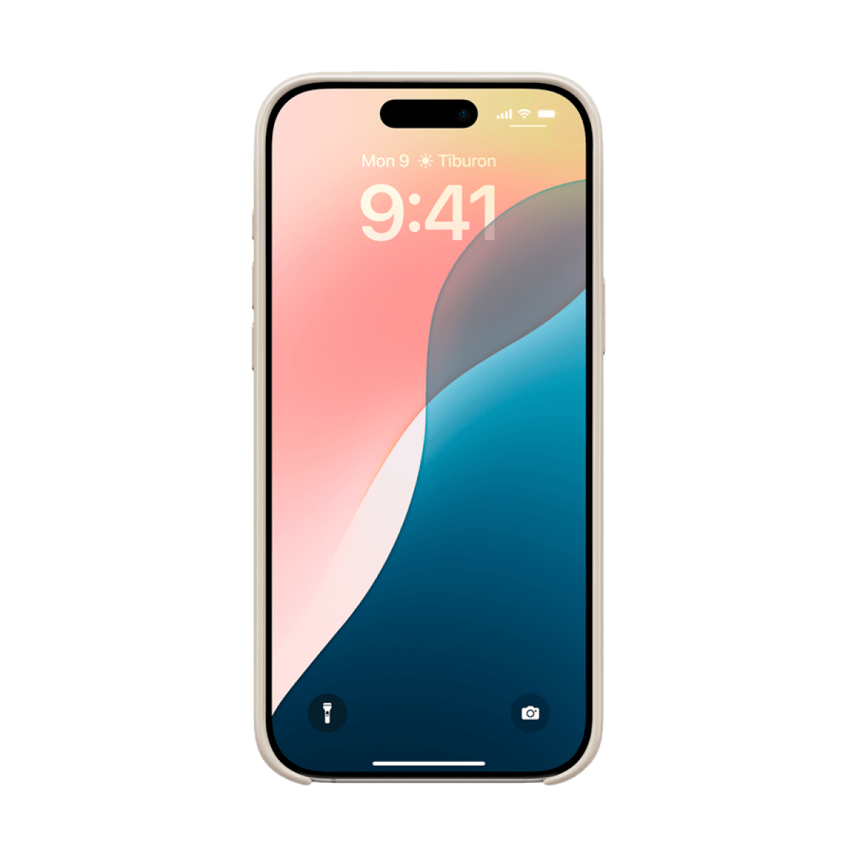 Beats iPhone 16 Pro Max Case with MagSafe - Summit Stone 5