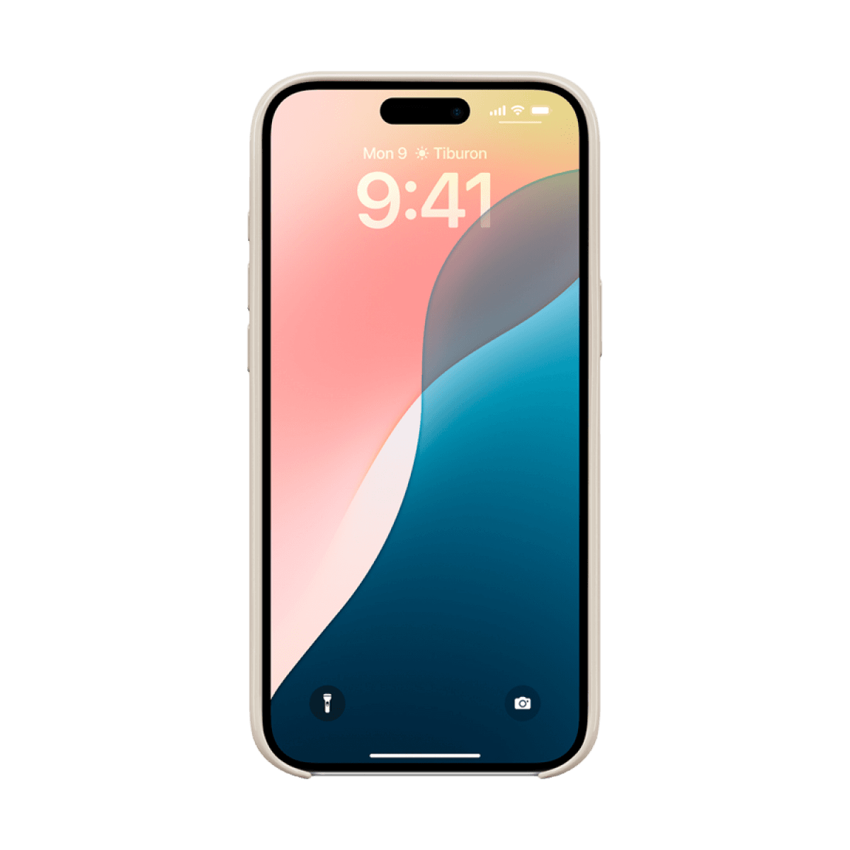 Beats iPhone 16 Plus Case with MagSafe - Summit Stone 5