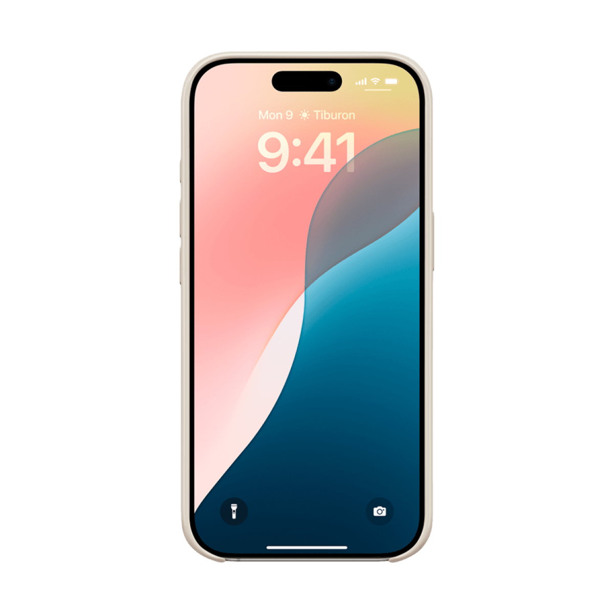 Beats iPhone 16 Pro Case with MagSafe - Summit Stone 5