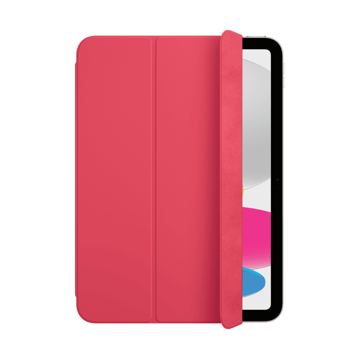 Smart Folio for iPad (A16) - Watermelon 3