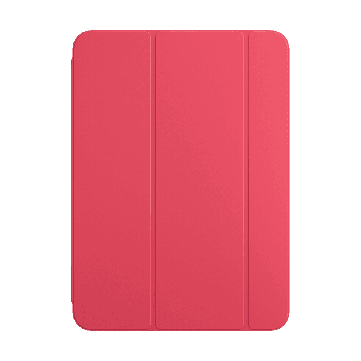 Smart Folio for iPad (A16) - Watermelon 4