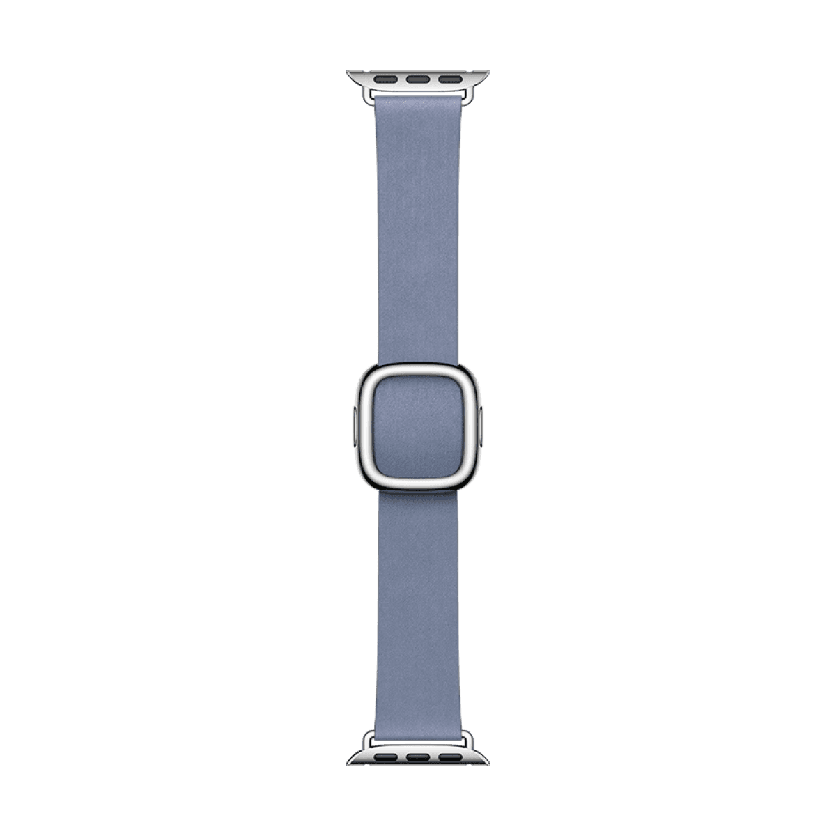 41mm Lavender Blue Modern Buckle - Medium 5