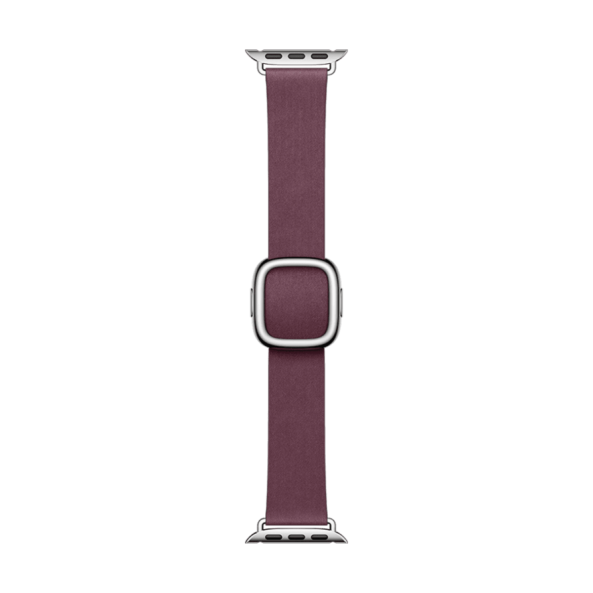 41mm Mulberry Modern Buckle - Medium 5
