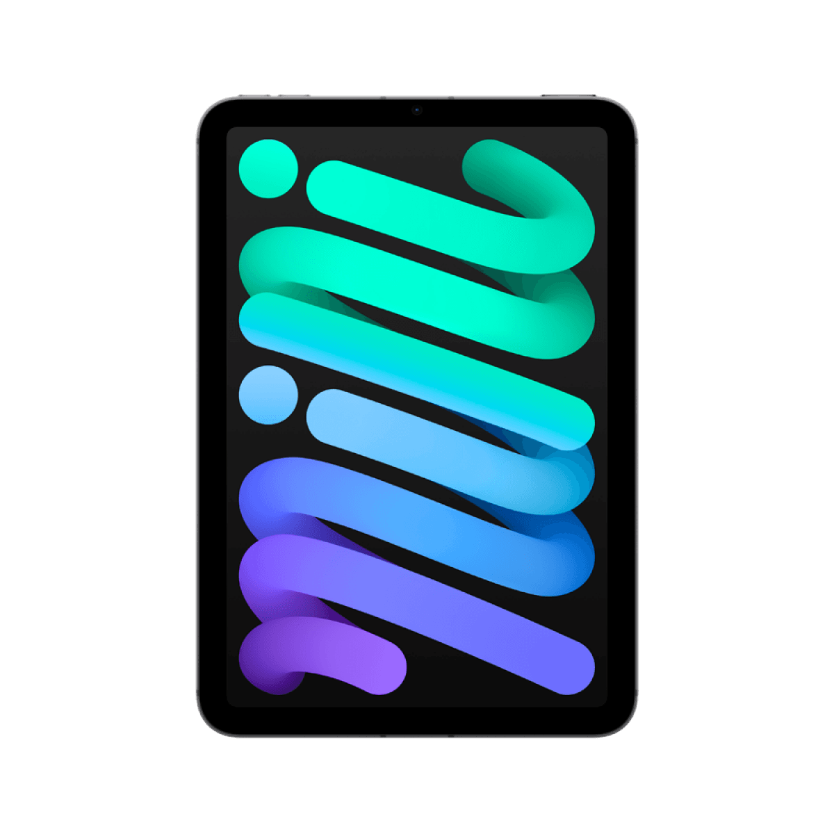 iPad mini Wi-Fi + Cellular 256GB - Space Grey 5