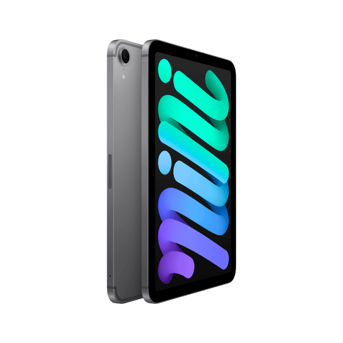 iPad mini Wi-Fi + Cellular 256GB - Space Grey 7