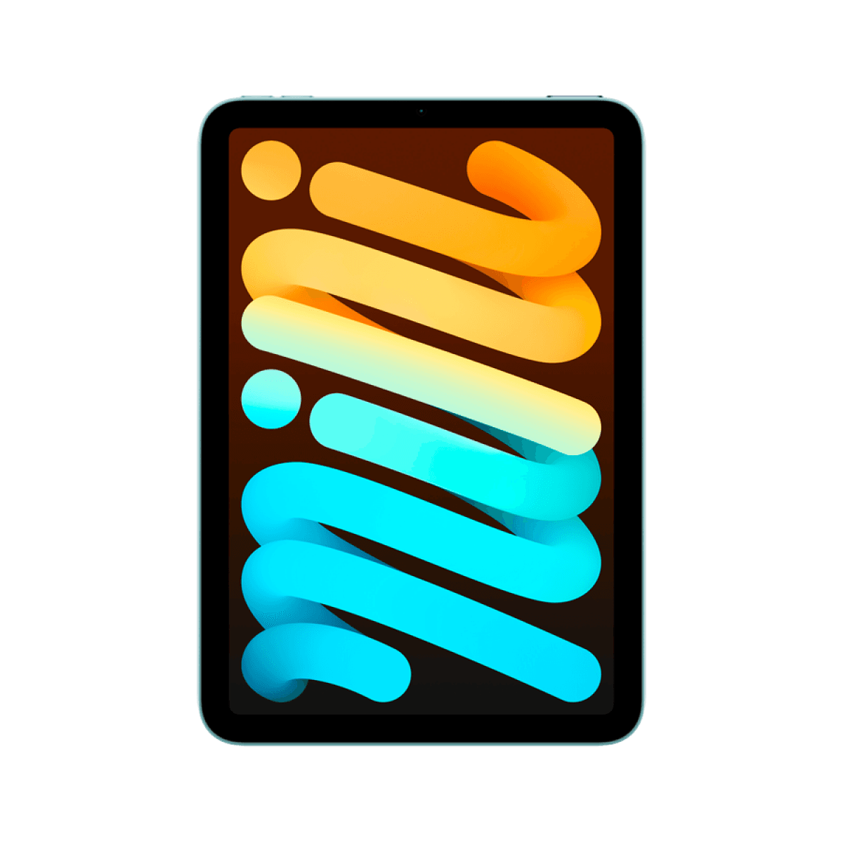 iPad mini Wi-Fi 256GB - Blue 5