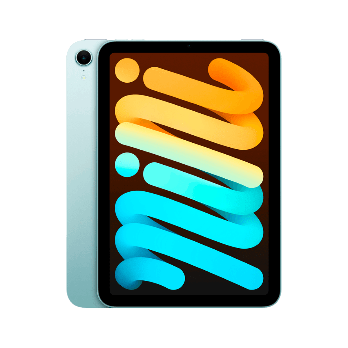 iPad mini Wi-Fi 256GB - Blue 6