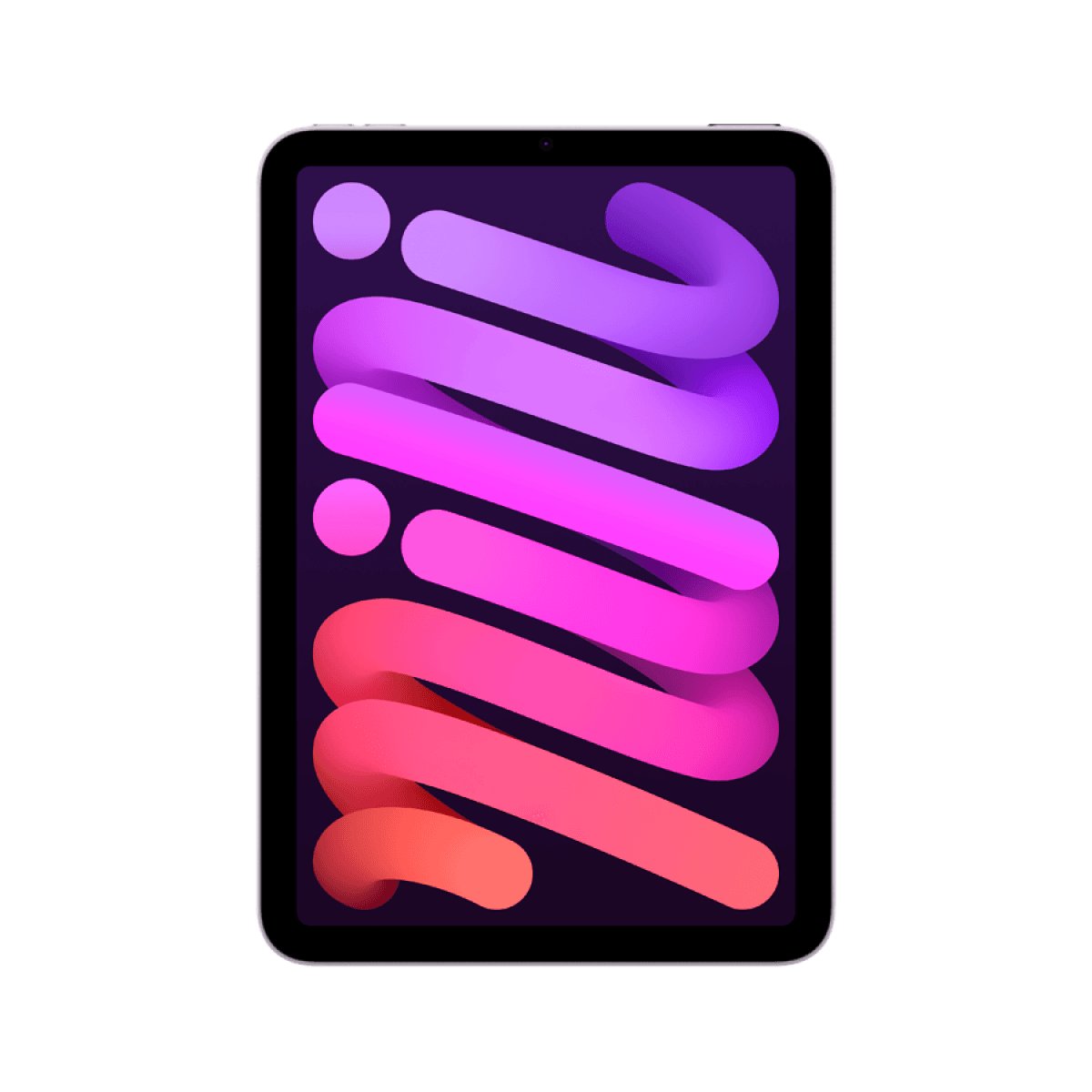 iPad mini Wi-Fi 256GB - Purple 5