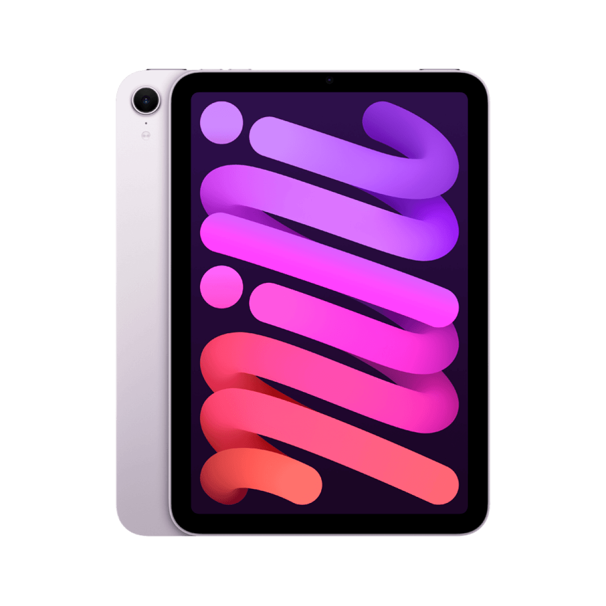 iPad mini Wi-Fi 256GB - Purple 6