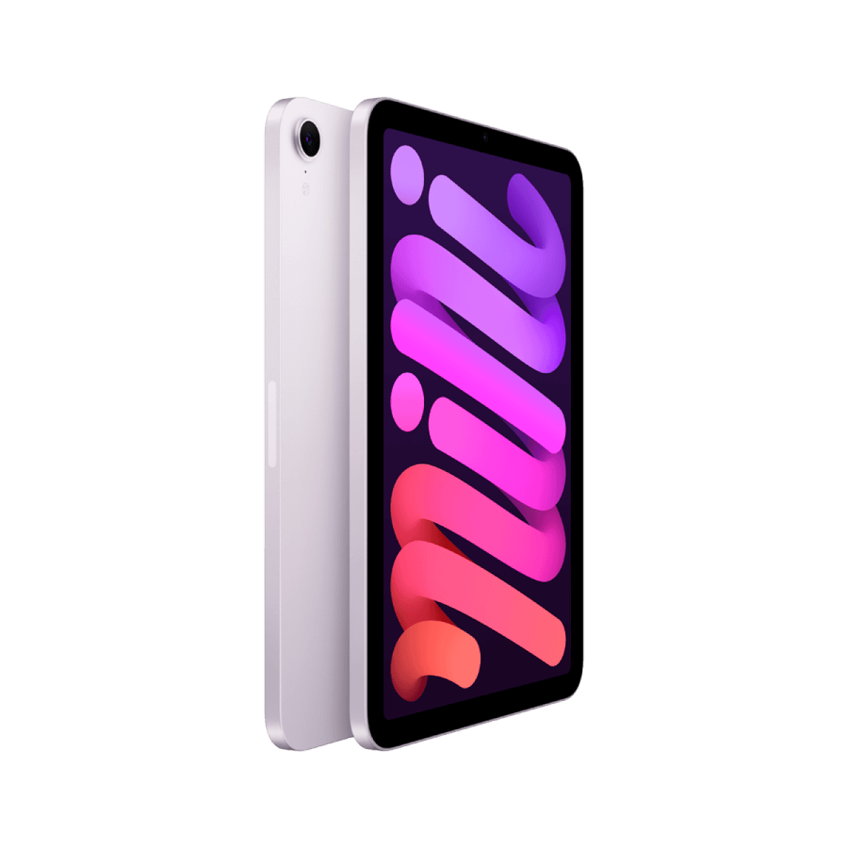 iPad mini Wi-Fi 256GB - Purple 7