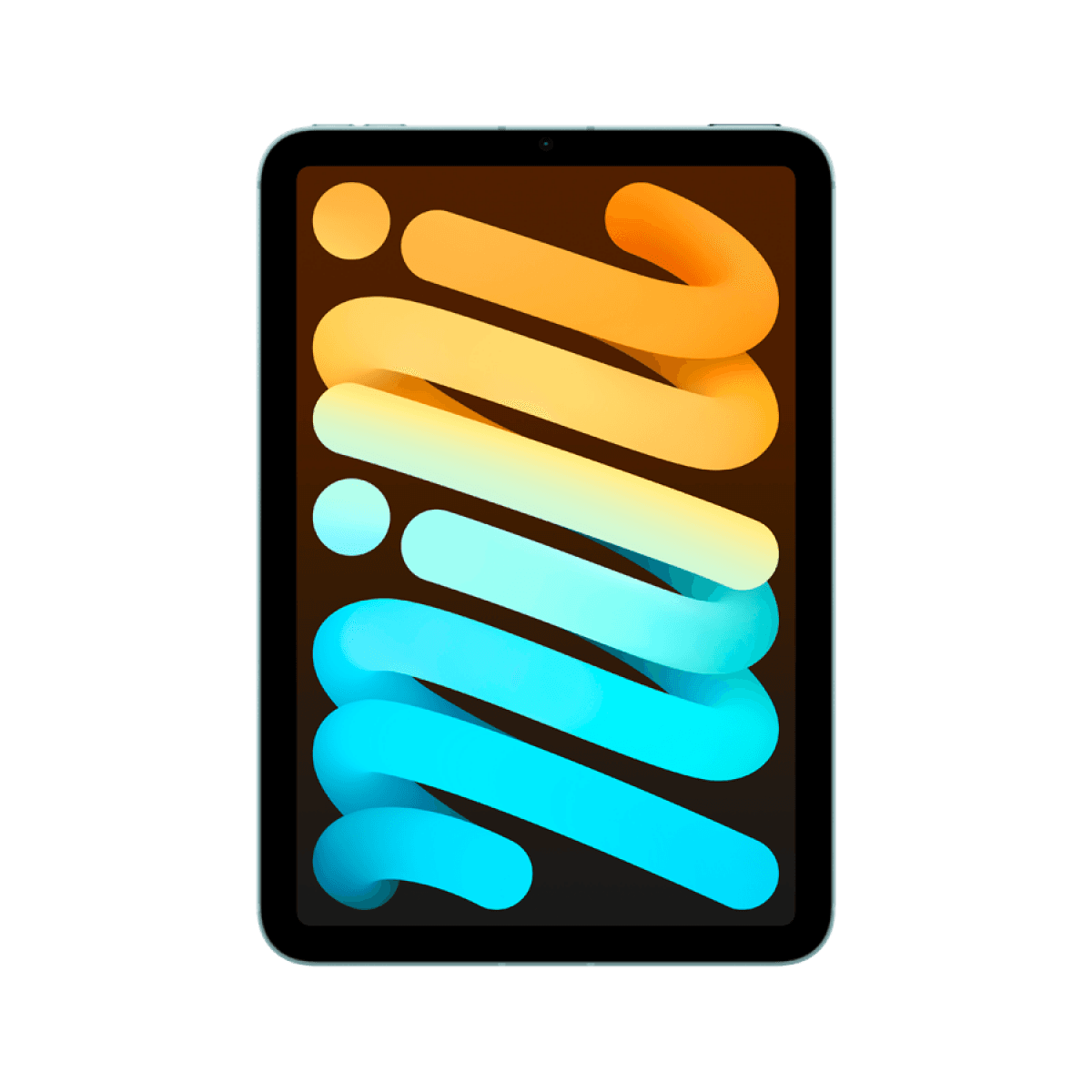 iPad mini Wi-Fi + Cellular 512GB - Blue 5