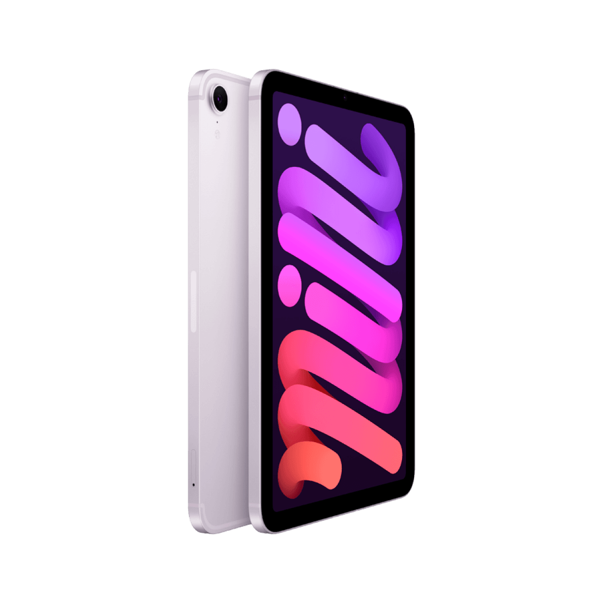 iPad mini Wi-Fi + Cellular 256GB - Purple 7