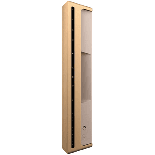 Bang & Olufsen Beosound Level Speaker Gold Tone Alu (Cover Light Oak)