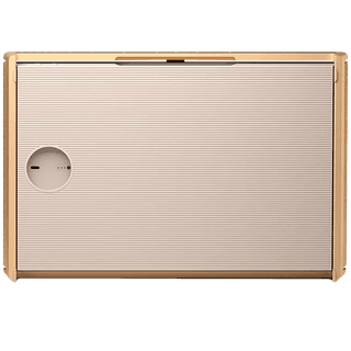 Bang & Olufsen Beosound Level Speaker Gold Tone Alu (Cover Light Oak)