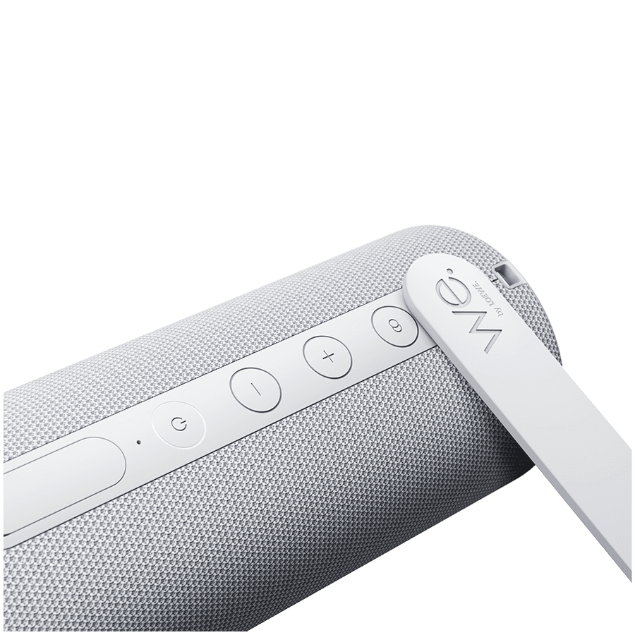 WE. HEAR 1 By Loewe Portable Speaker 40W, Cool Grey 6