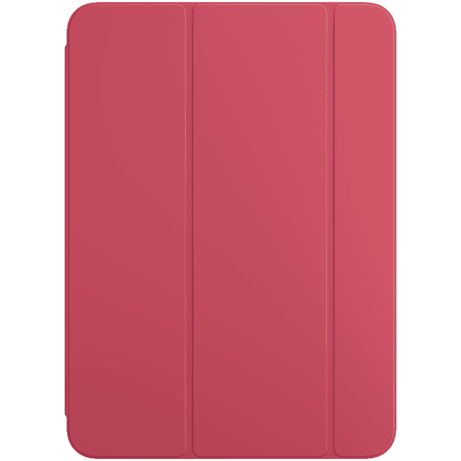 Smart Folio for iPad (A16) - Watermelon 2