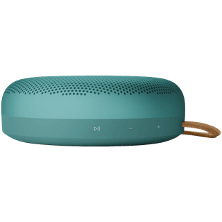 Bang & Olufsen Beosound A1 3rd Gen Eucalyptus Green