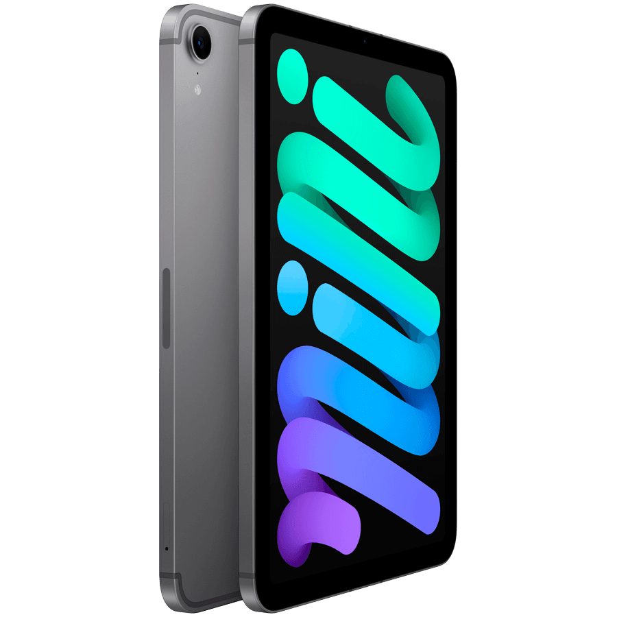 iPad mini Wi-Fi + Cellular 256GB - Space Grey 3