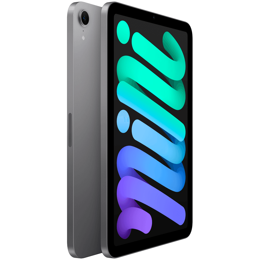 iPad mini Wi-Fi 128GB - Space Grey 3