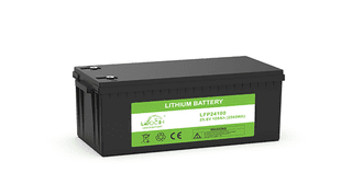 Leoch LFP24100 LiFePO4 Battery 24V 100Ah