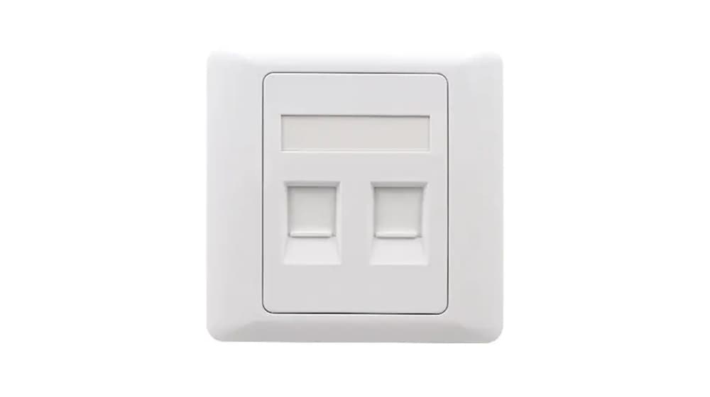 NEX FP2 Face Plate 2 port