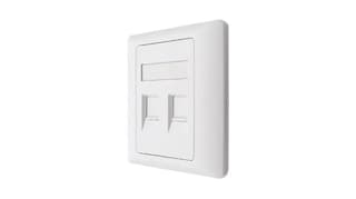 NEX FP2 Face Plate 2 port - 2