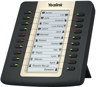 Yealink EXP20