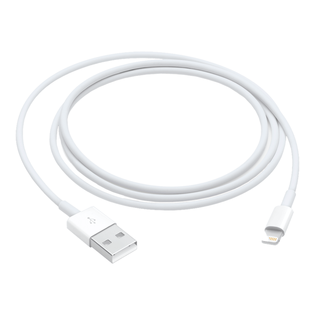 Apple Lightning to USB Cable (1m)