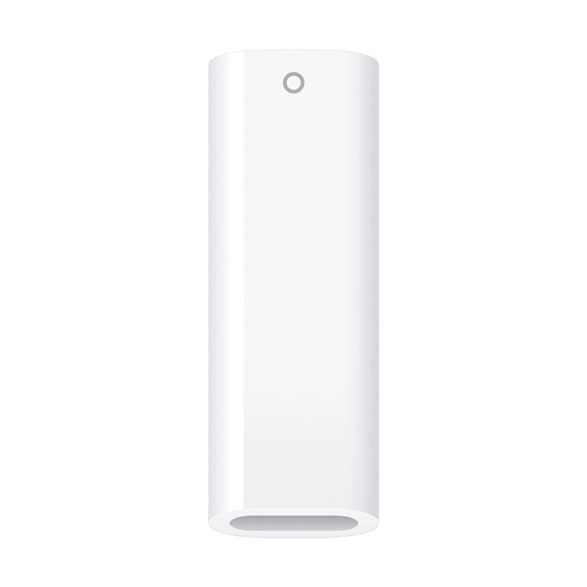 USB-C to Apple Pencil Adapter