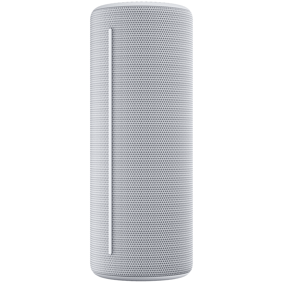 We By Loewe WE. HEAR 1 By Loewe Portable Speaker 40W, Cool Grey