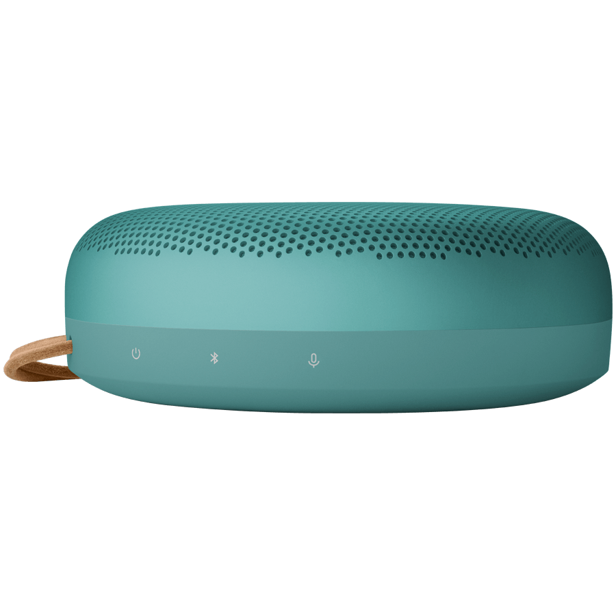 Bang & Olufsen Beosound A1 3rd Gen Eucalyptus Green