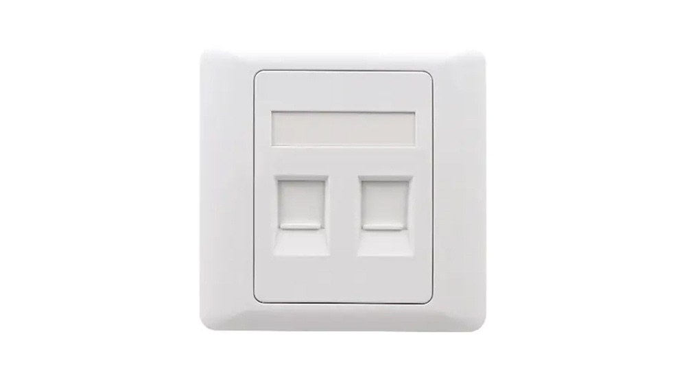 NEX FP2 Face Plate 2 port