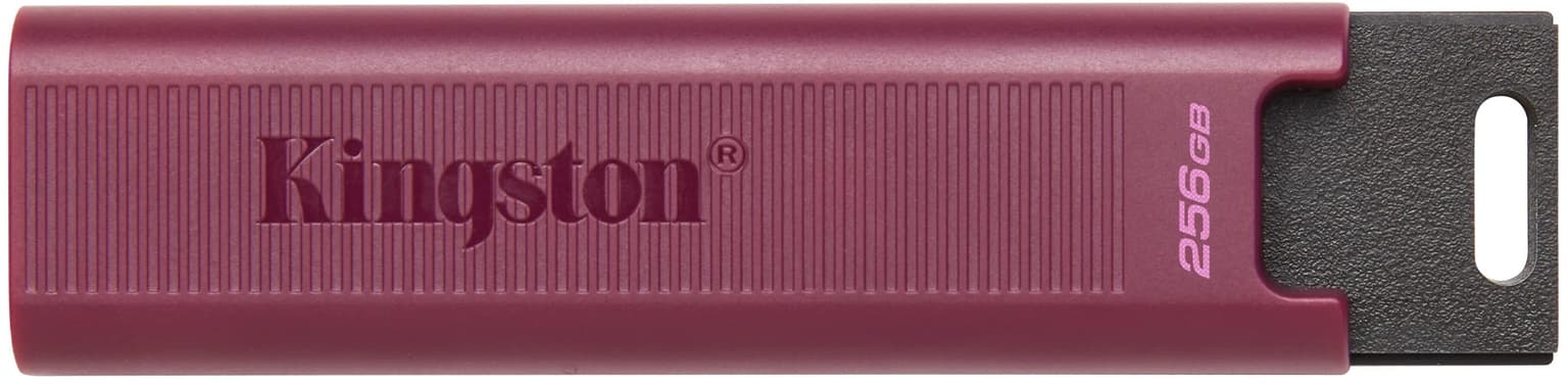 Kingston 256GB USB 3.2 Type-A Gen 2 DT Max